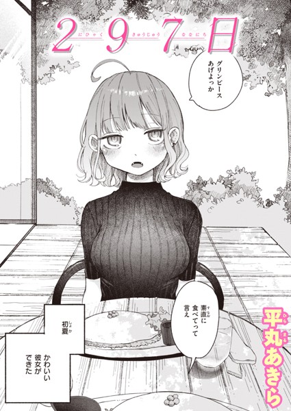 297日【平丸あきら】  エロ画像2534